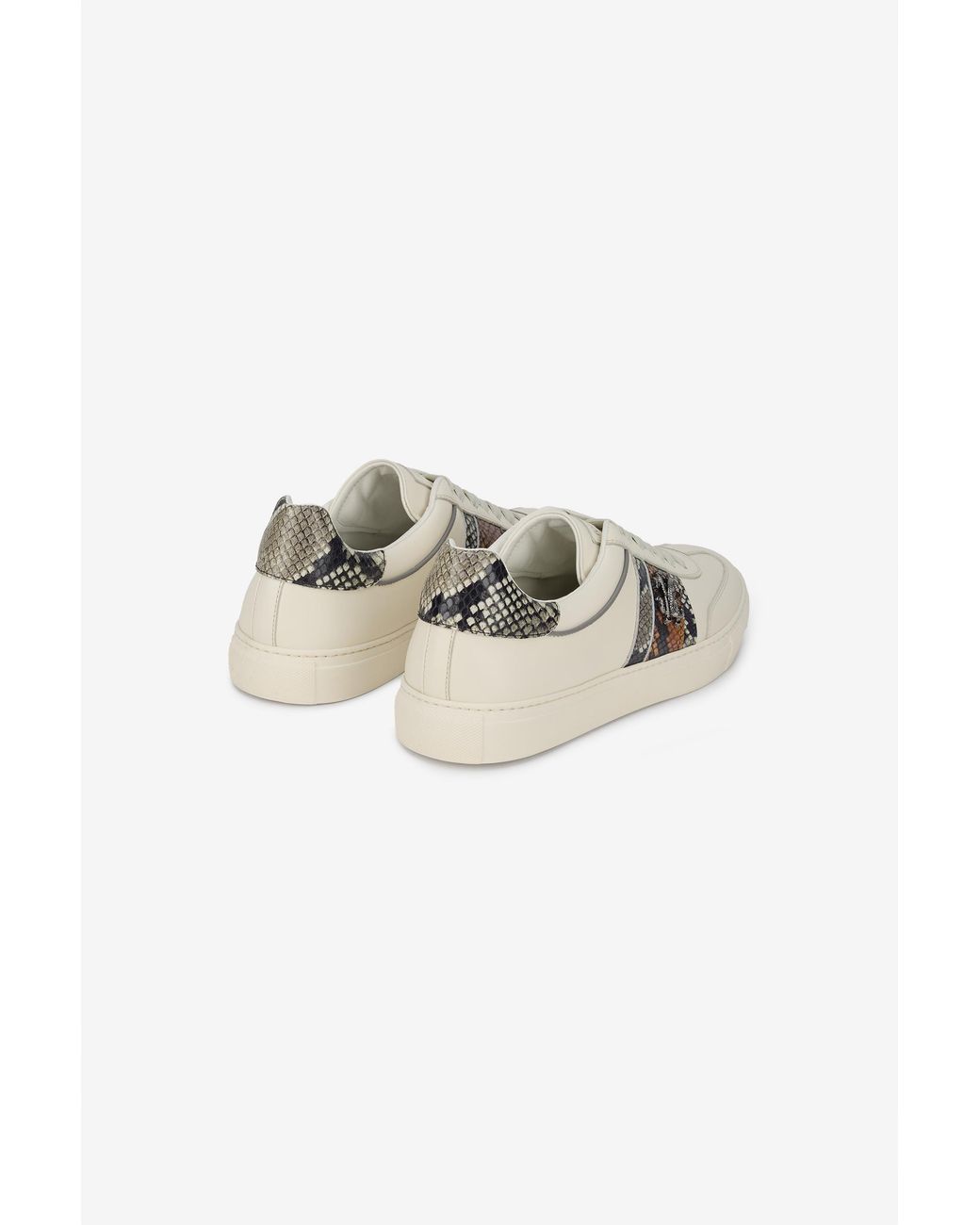 Roberto Cavalli Multicolor Sneakers for men