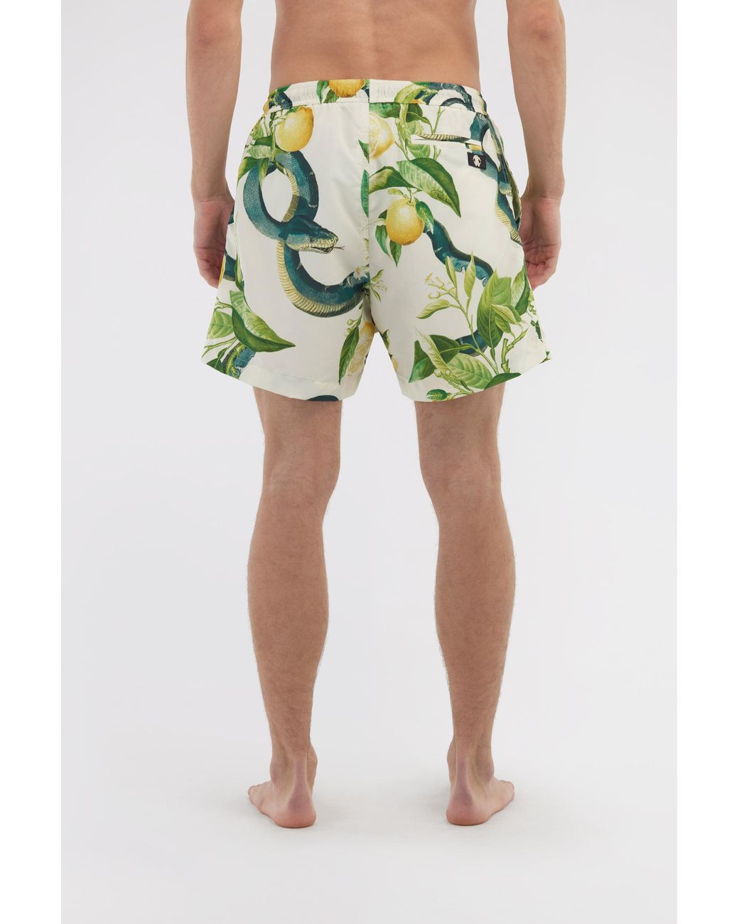 Roberto Cavalli Green Swim Shorts With Lemon Print for men