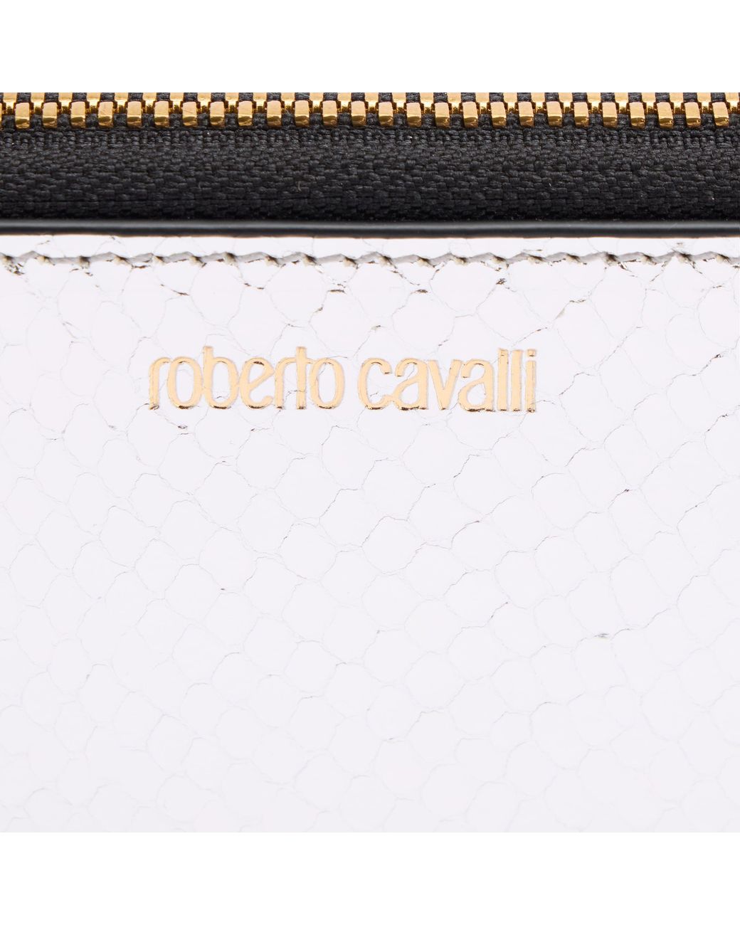 Roberto Cavalli Multicolor Zip-Around Wallet With Snake Print