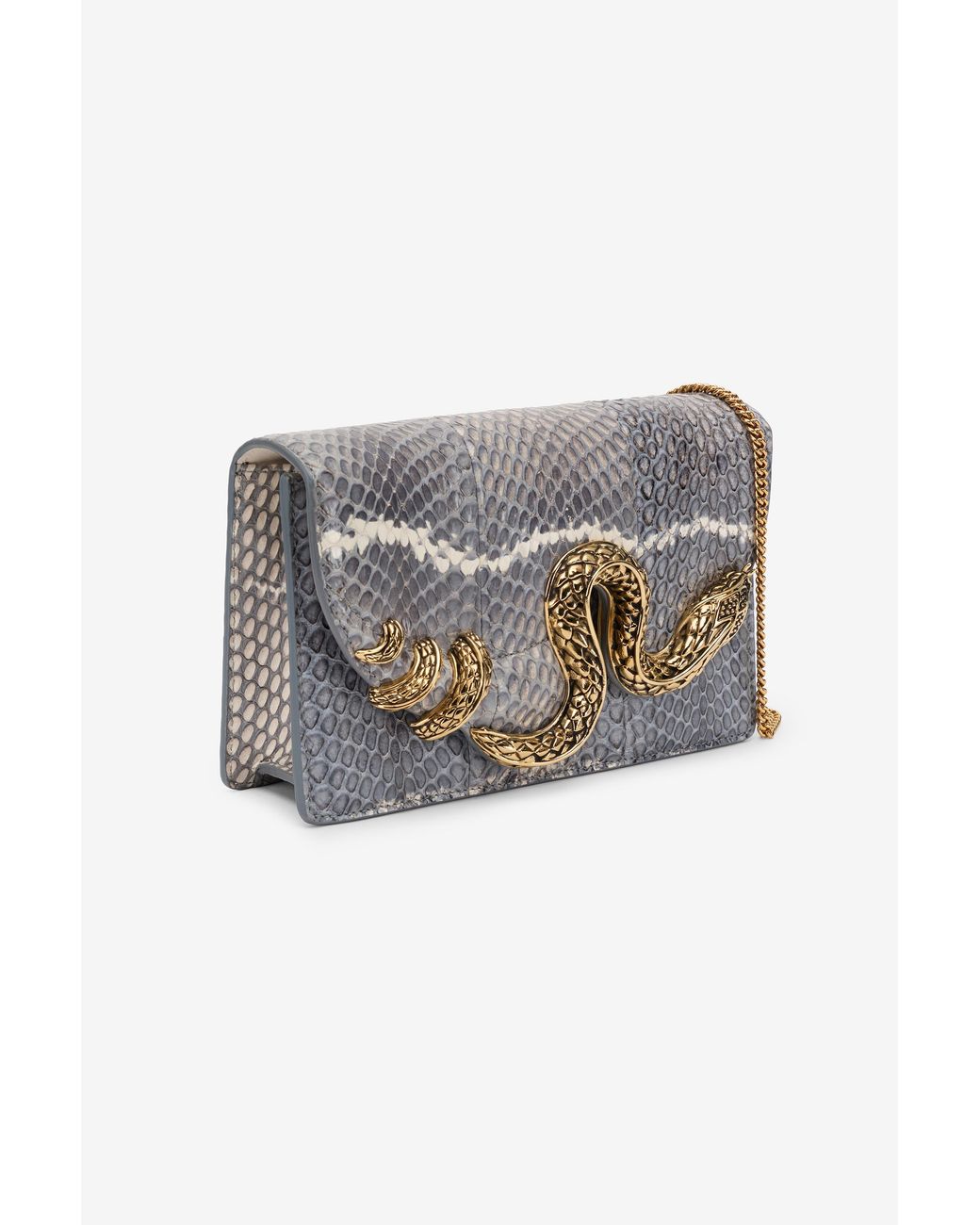 Borsa Serpentine di Roberto Cavalli in Gray