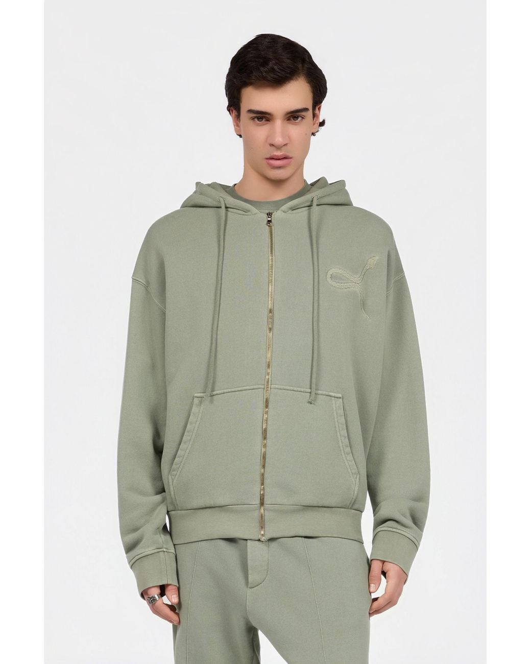 Roberto Cavalli Green Sage Hoodie With Embroidered Snake for men