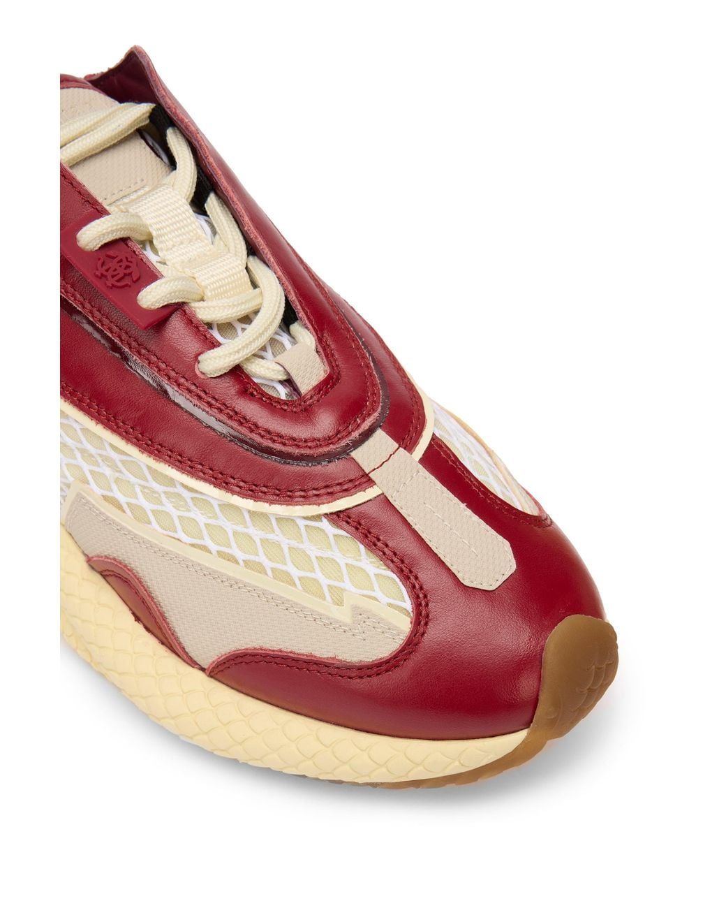 Roberto Cavalli Pink Serpentine Sneaker