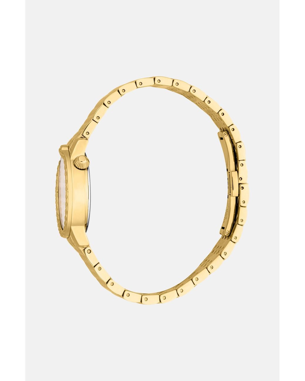 Roberto Cavalli Metallic By Frank Muller Snake Core Watch