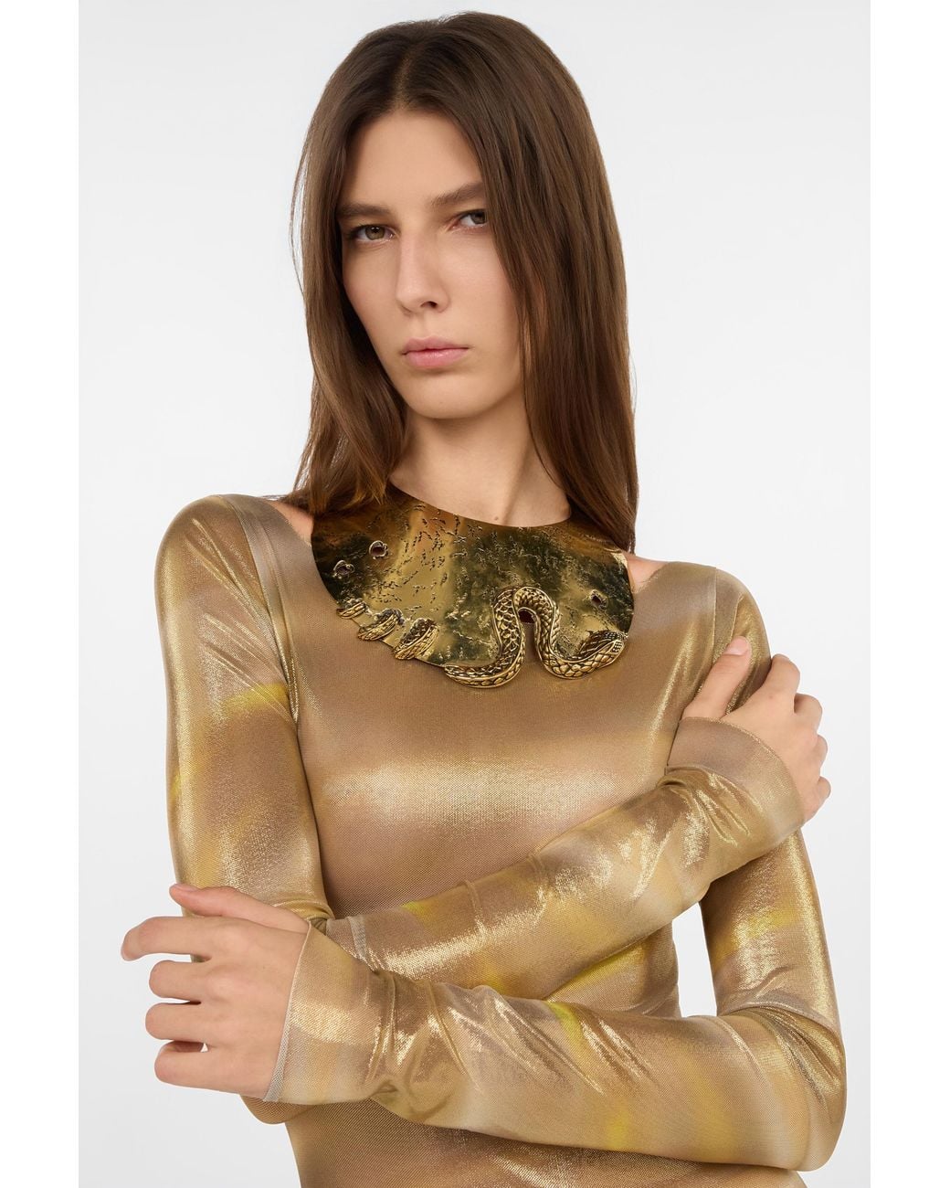 Roberto Cavalli Natural Antique Choker Necklace With Snake