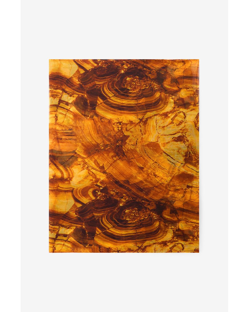 Roberto Cavalli Orange Stole With Amber Print
