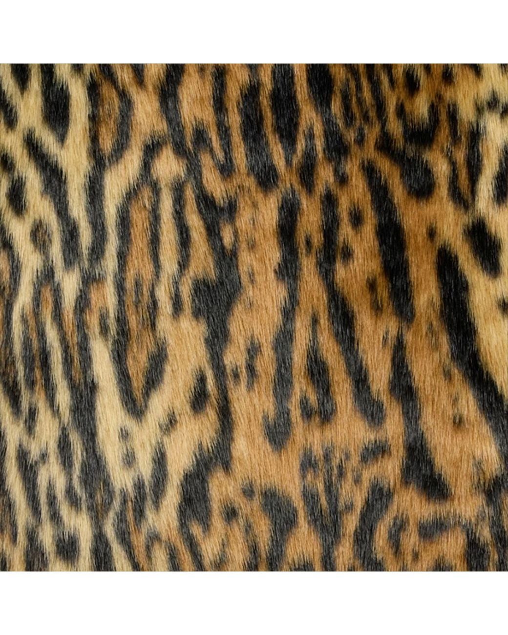 Roberto Cavalli Brown Leopard-Print Button Coat
