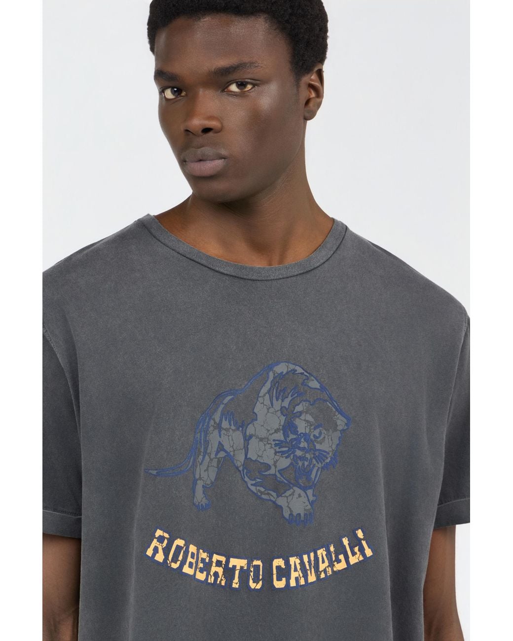 Roberto Cavalli Gray T-Shirt for men