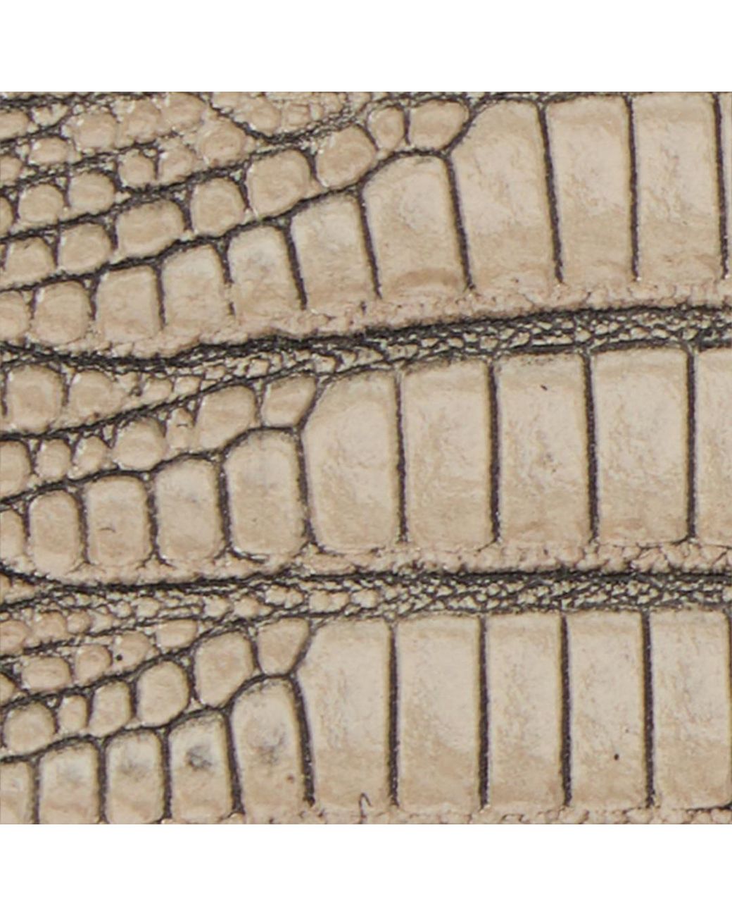 Roberto Cavalli White Ivory Belt With Cobra Print And Snake Buckle