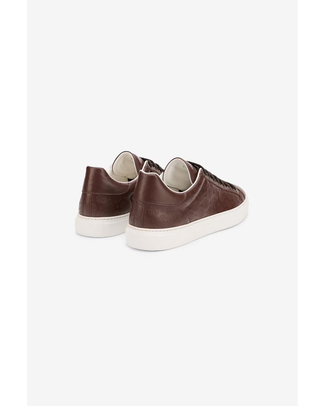 Roberto Cavalli Brown Leather Sneakers With Monogram Pattern for men
