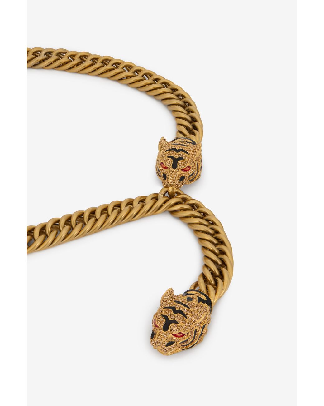Roberto Cavalli Multicolor Roar Belt