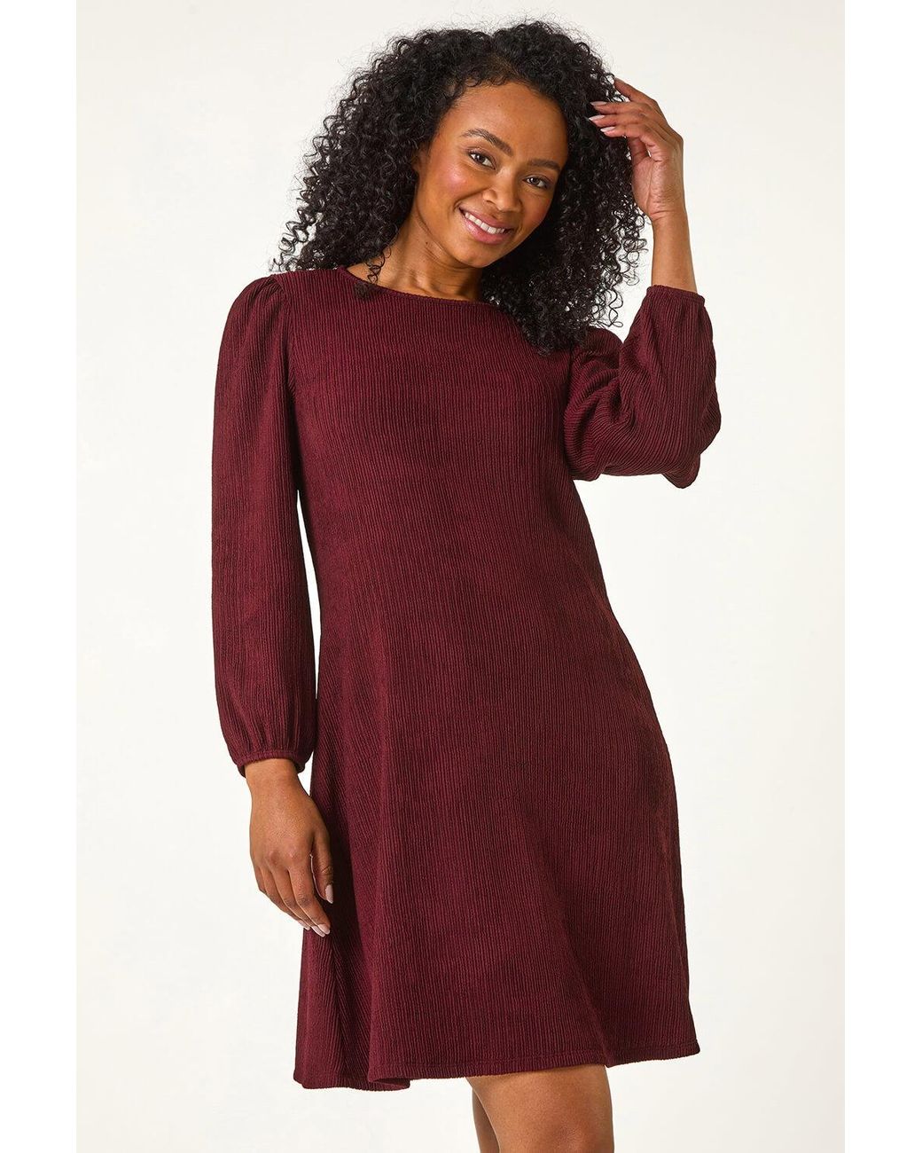 Roman Petite Textured Swing Stretch Dress
