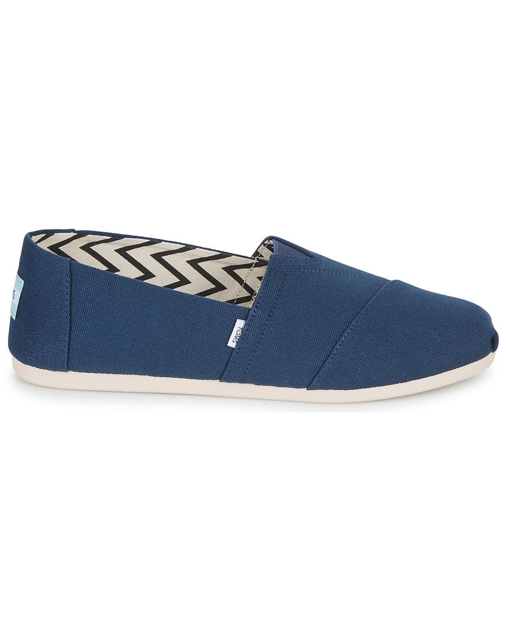 TOMS Blue Alpargata Espadrilles / Casual Shoes for men