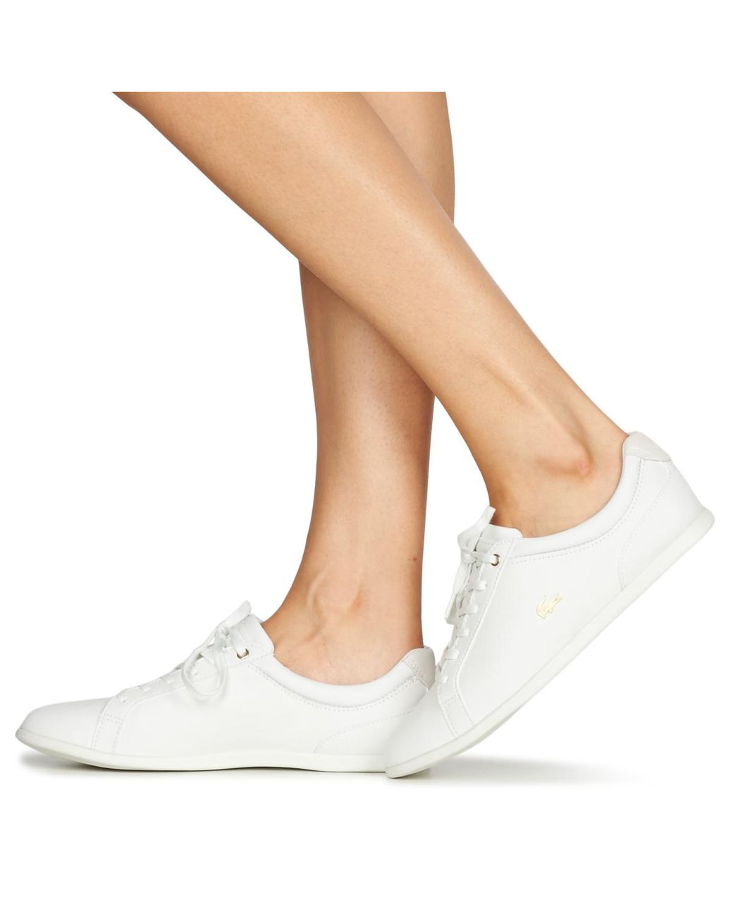 Lacoste Rey Lace 120 1 Cfa Shoes 