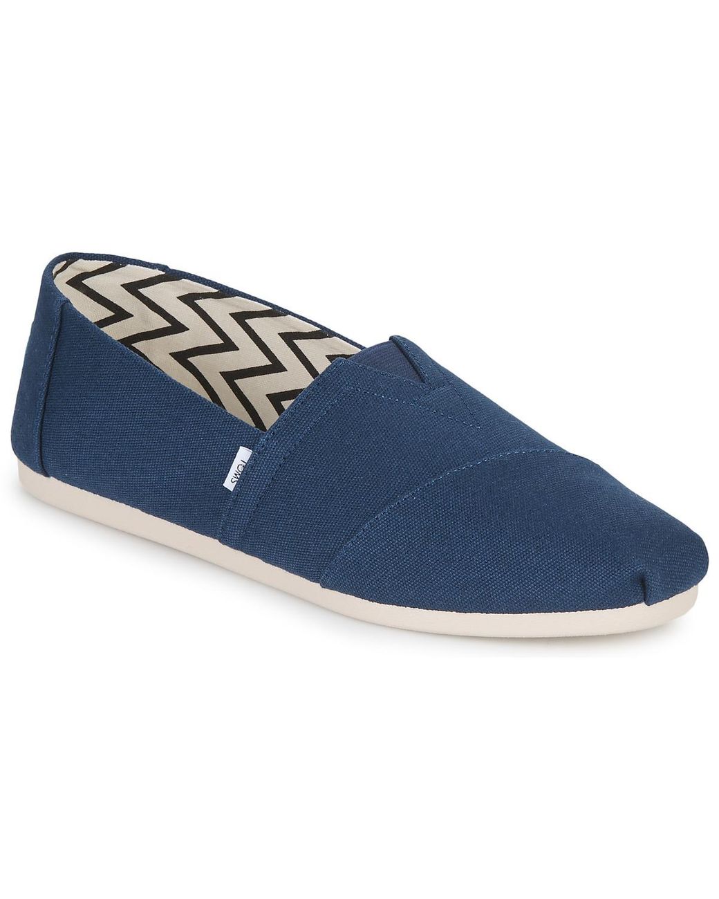 TOMS Blue Alpargata Espadrilles / Casual Shoes for men