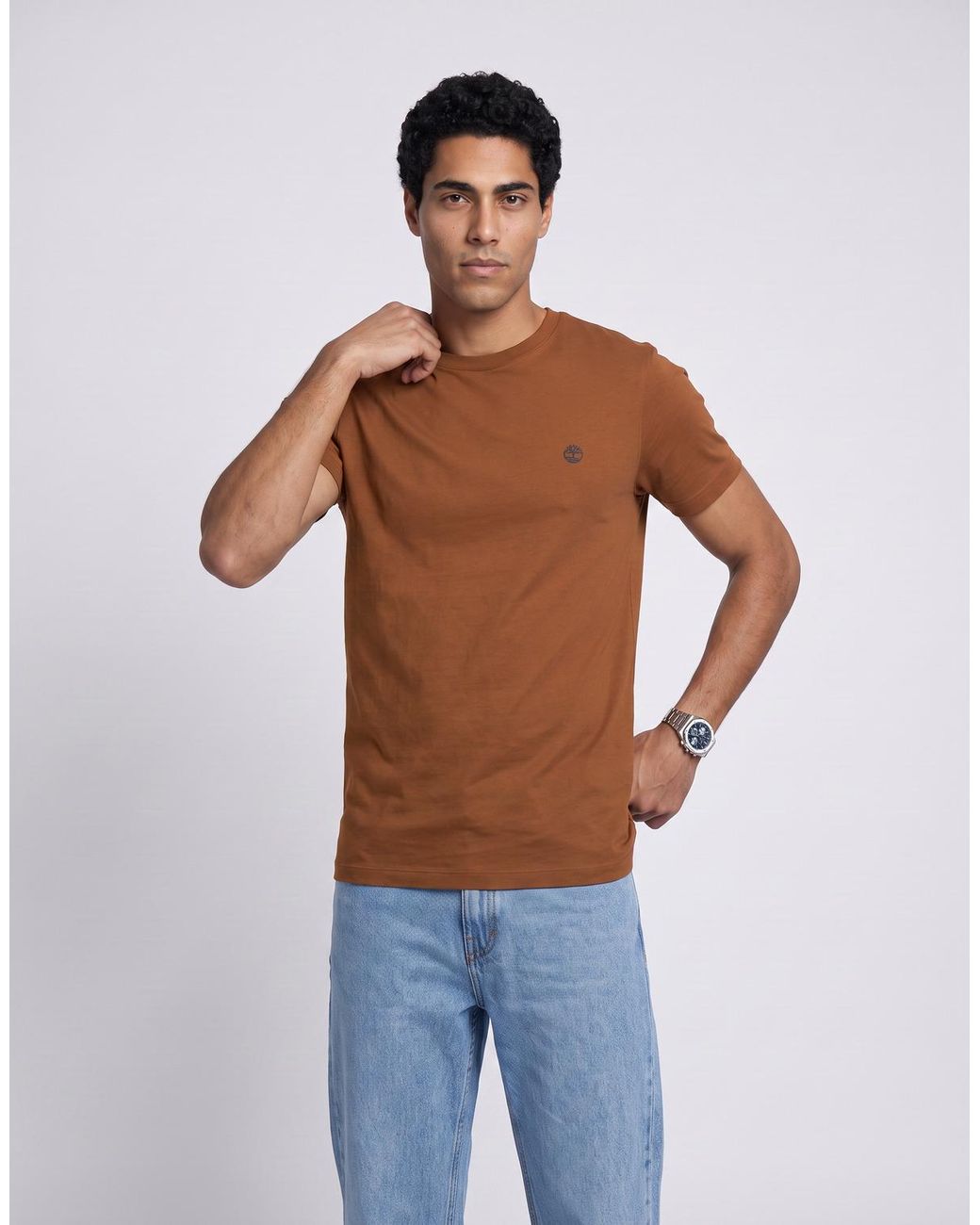 Timberland Brown T Shirt Tee Slim Dunstan River for men