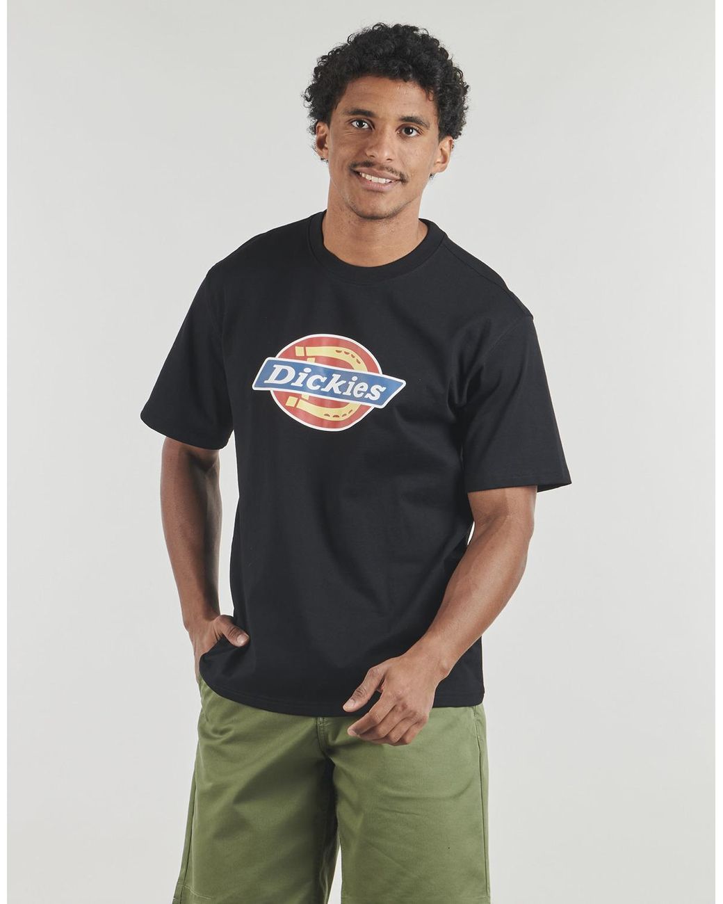 Dickies T Shirt Icon Ss Tee Black for men