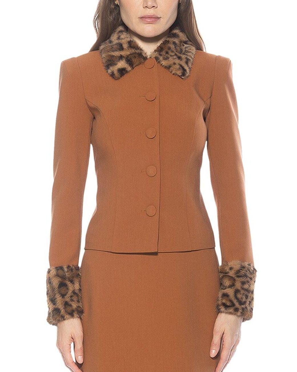 Alexia Admor Brown Fran Jacket