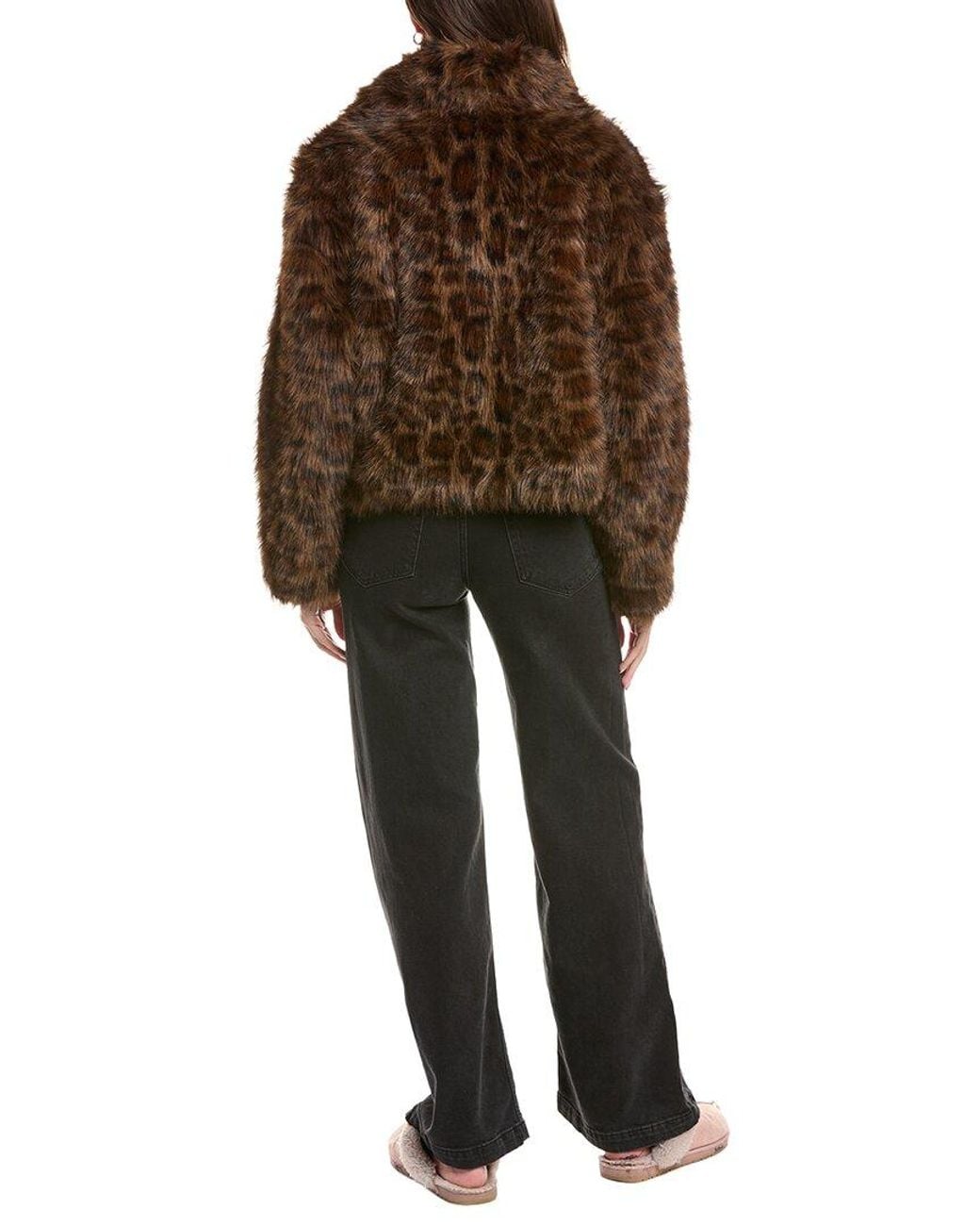 NVLT Brown Cropped Coat
