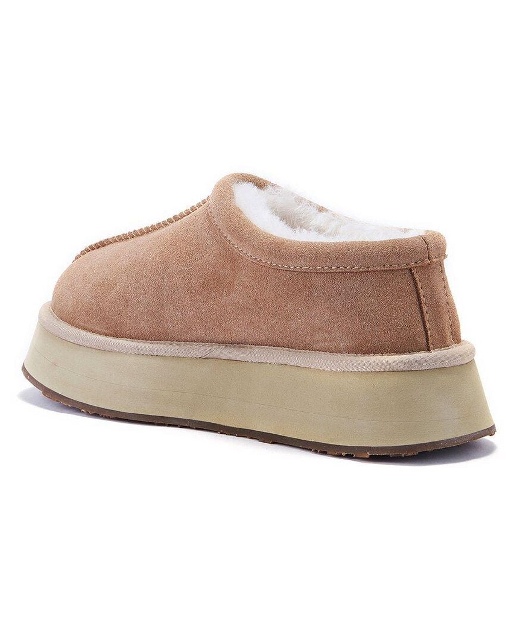 Australia Luxe Brown Outback Suede Slipper
