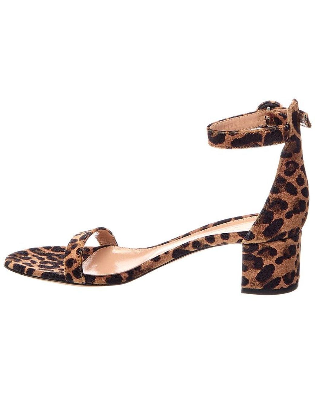 Gianvito Rossi Brown Velvet Sandal