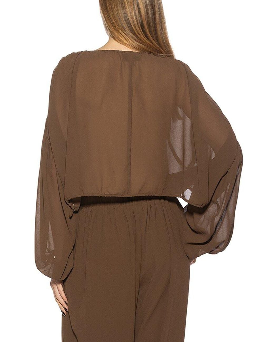 Alexia Admor Brown Luca Top