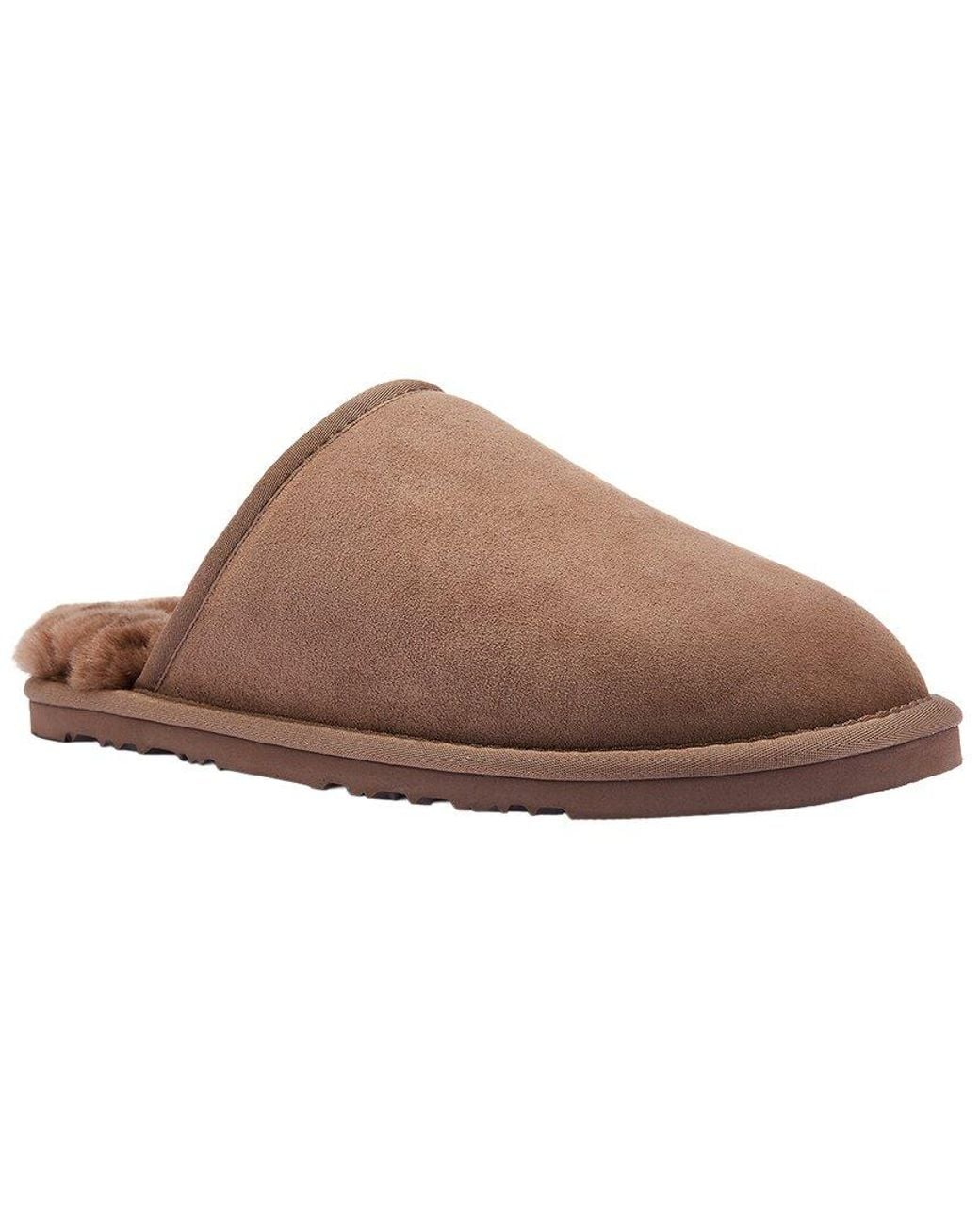 Australia Luxe Brown Mool Sheepskin Slipper for men