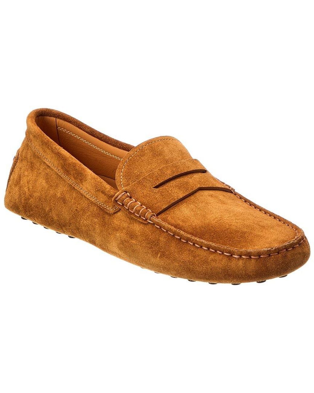 Tod's Brown Suede Driver for men