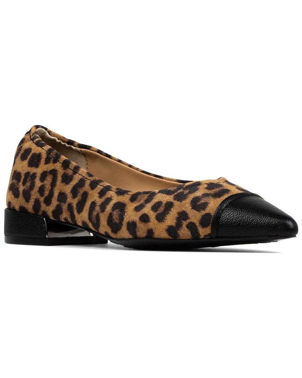 Donald J Pliner Brown Ladonna02 Suede Pump