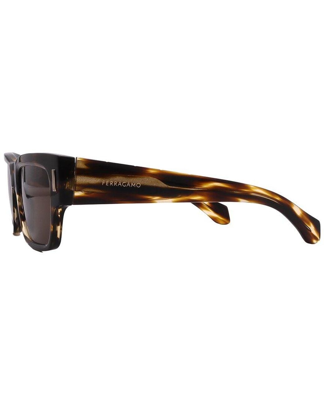 Ferragamo Brown Salvatore 53Mm Sunglasses for men