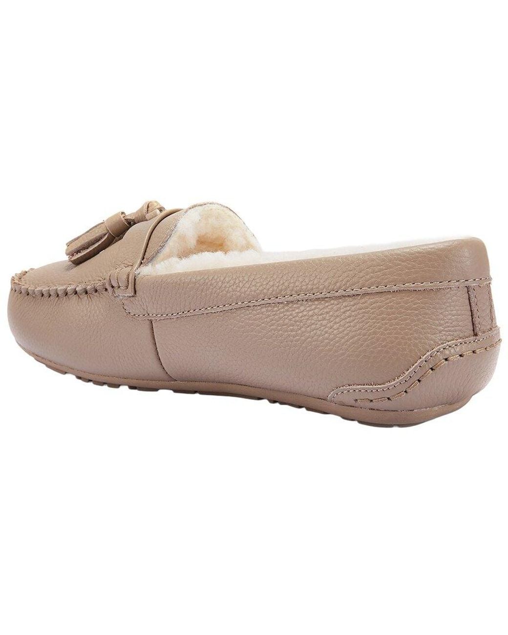 Australia Luxe Multicolor Hamilton Sheepskin Slipper for men