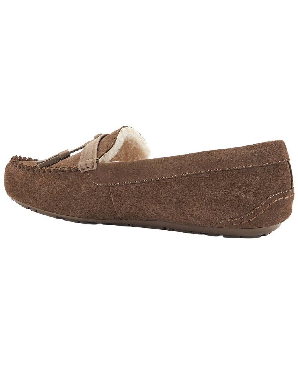 Australia Luxe Brown Hamilton Sheepskin Slipper for men