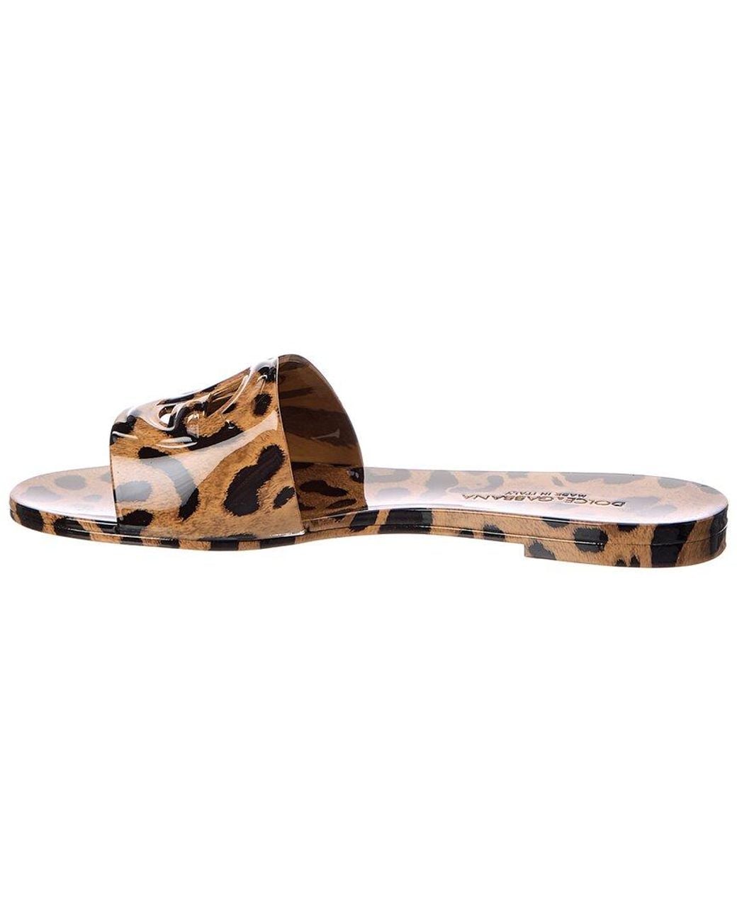 Dolce & Gabbana Brown Dg Logo Rubber Sandal