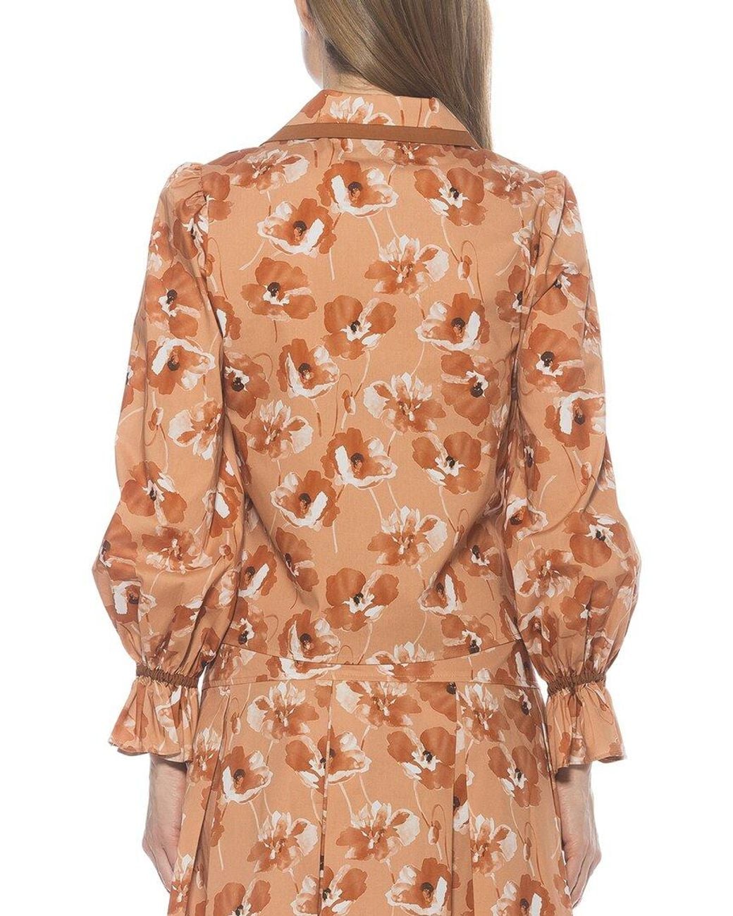 Alexia Admor Brown Shannah Blouse