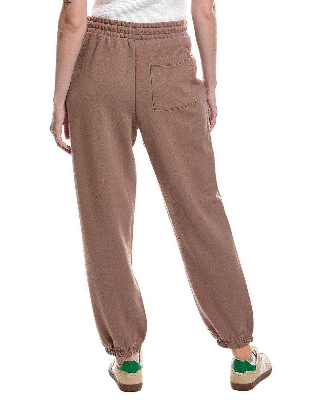 Splendid Brown Pant