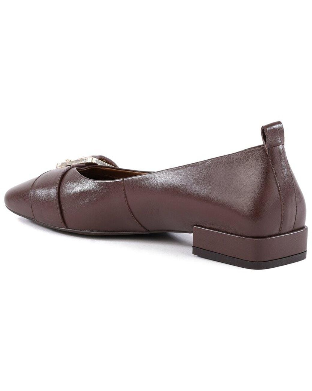 Seychelles Brown Cambridge Leather Flat