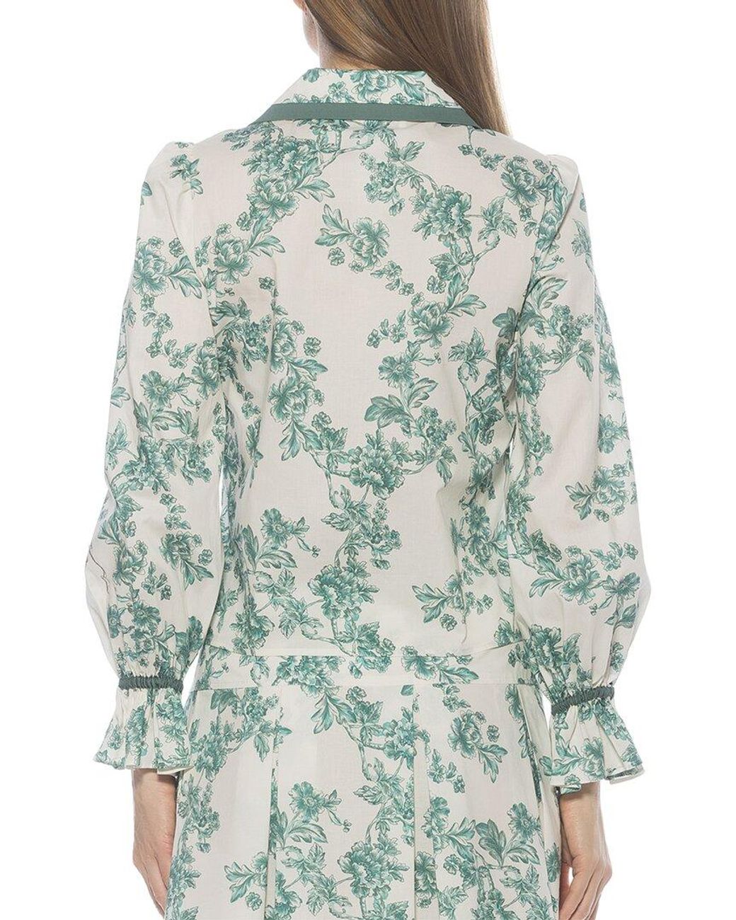 Alexia Admor Blue Shannah Blouse