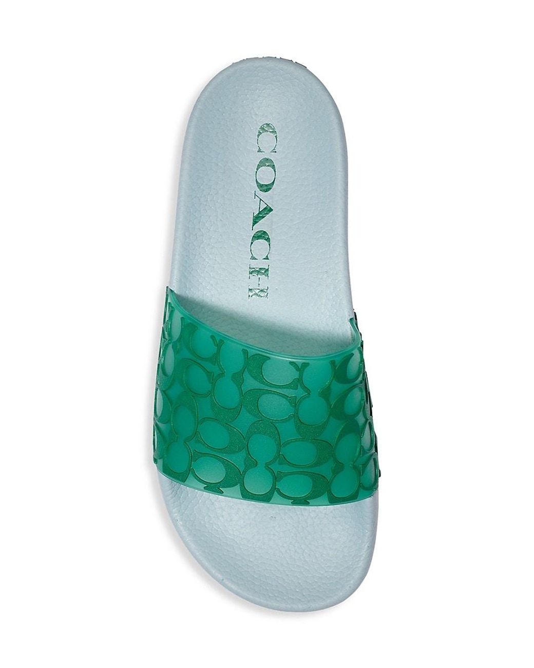coach slides green