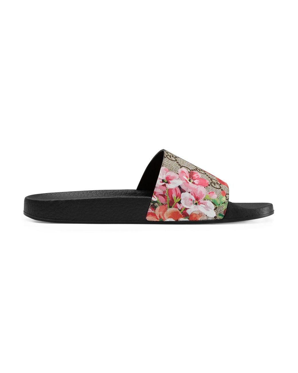 gg bloom slides