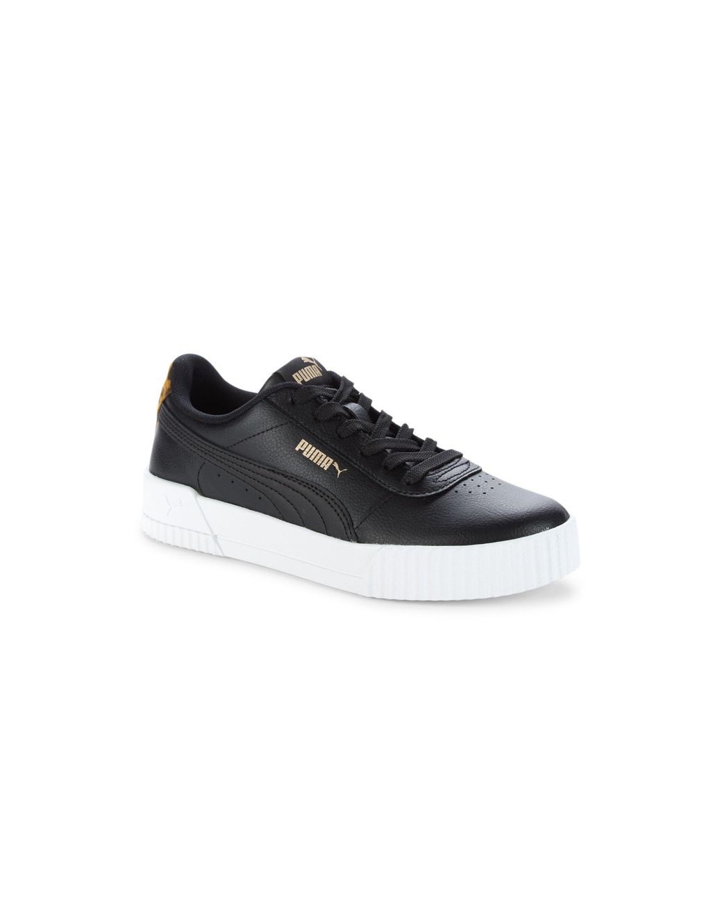 puma carina leopard