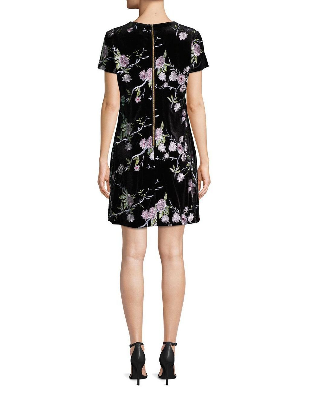 Calvin klein floral burnout velvet shift best sale dress