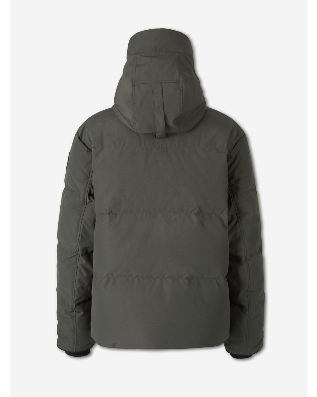 Canada Goose Gray Short Feathered for men