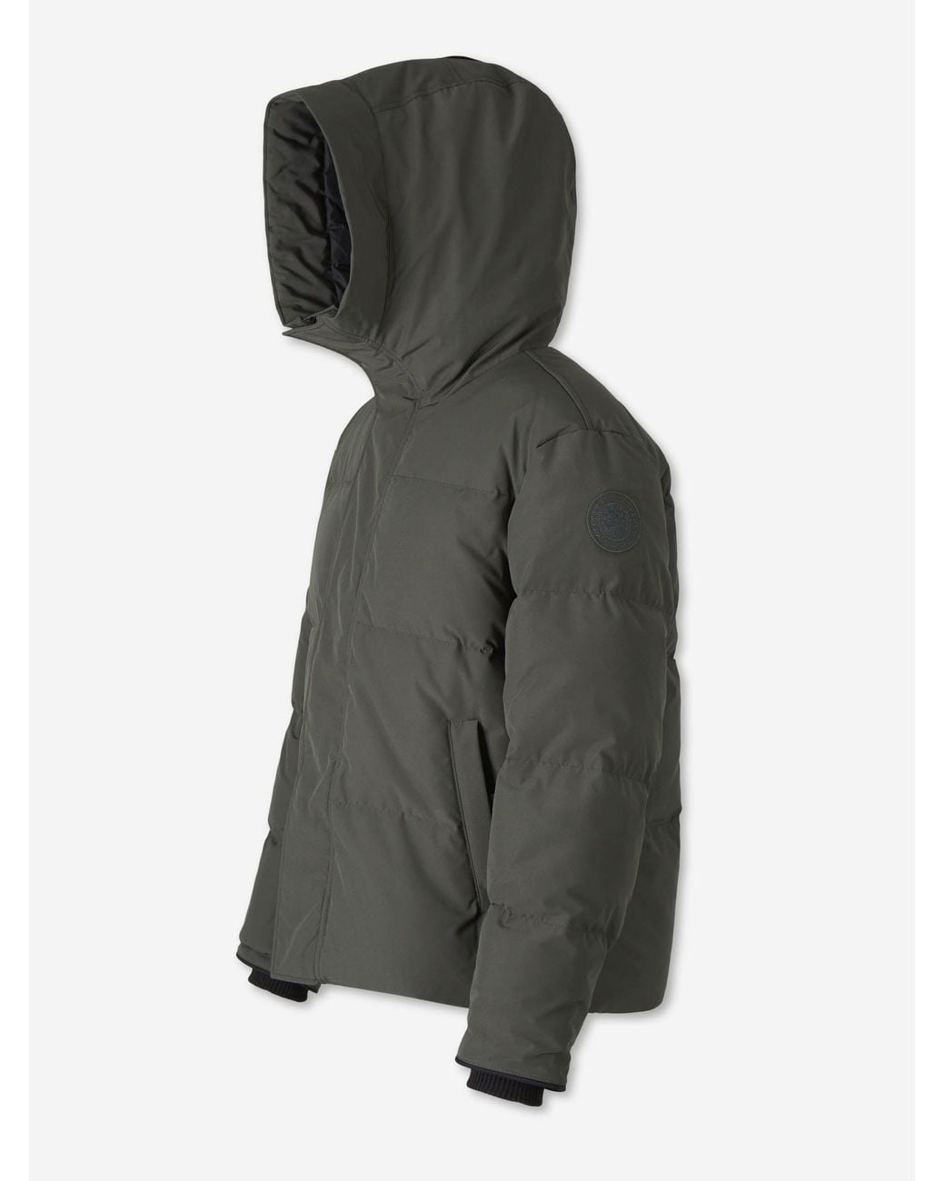 Canada Goose Gray Short Feathered for men