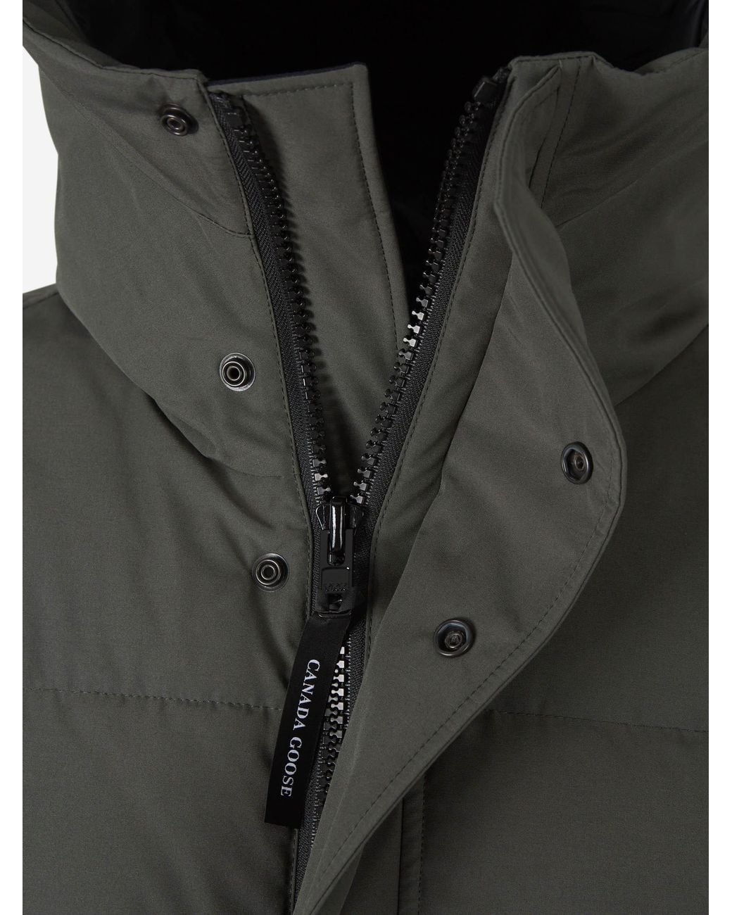 Canada Goose Gray Short Feathered for men