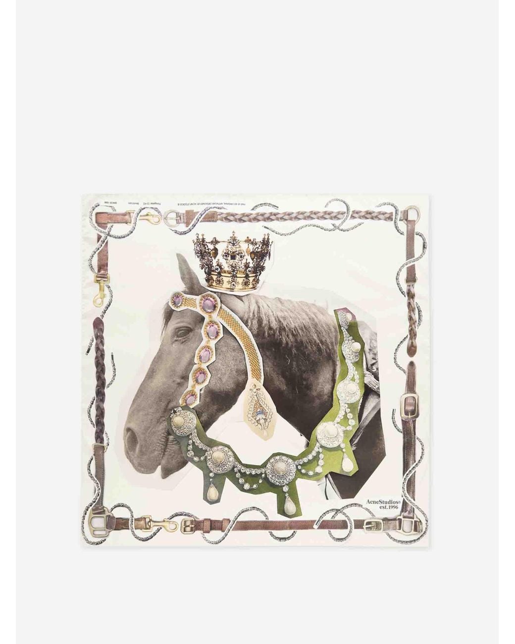 Sciarpa Di Seta Con Cavallo di Acne in White