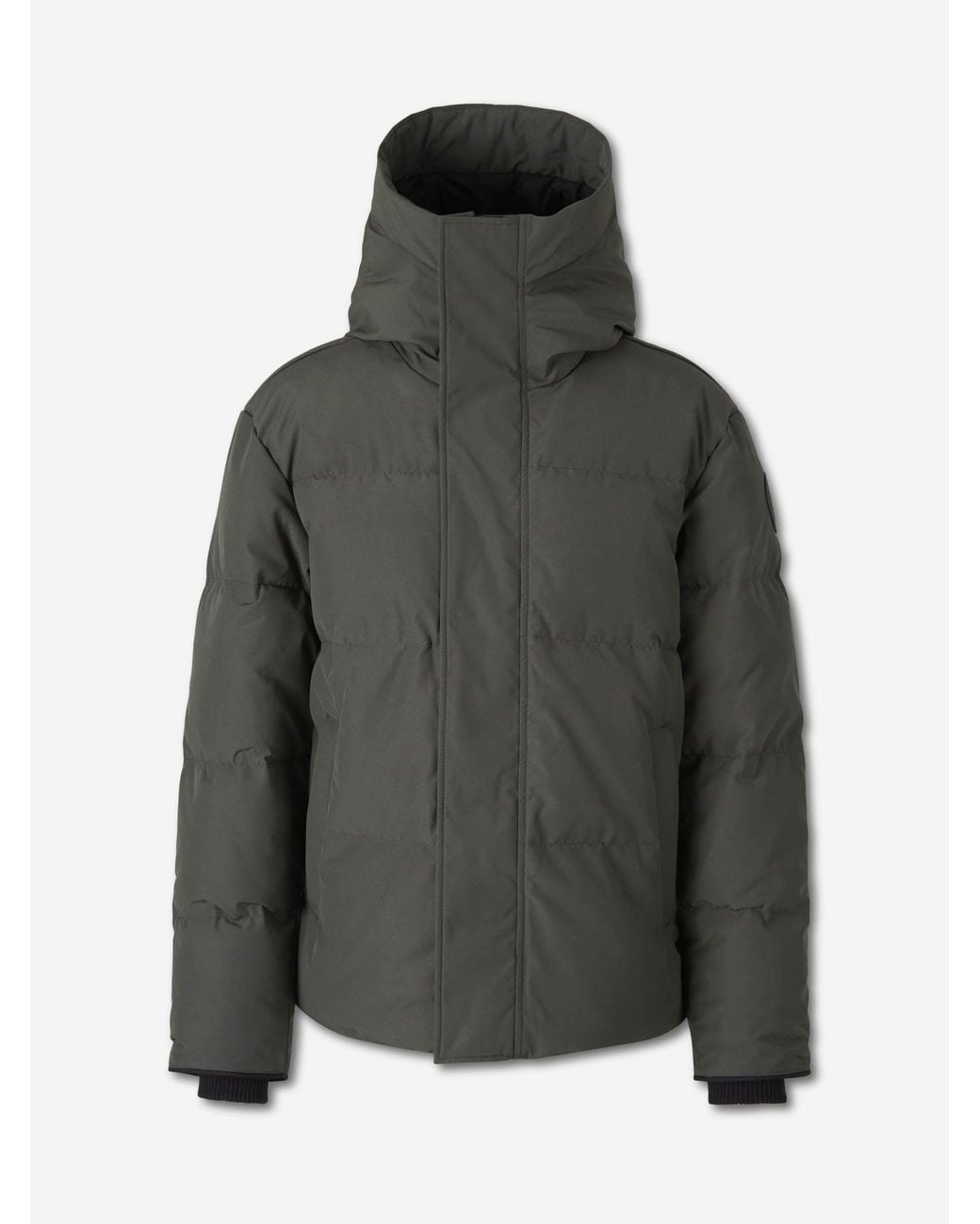 Canada Goose Gray Short Feathered for men