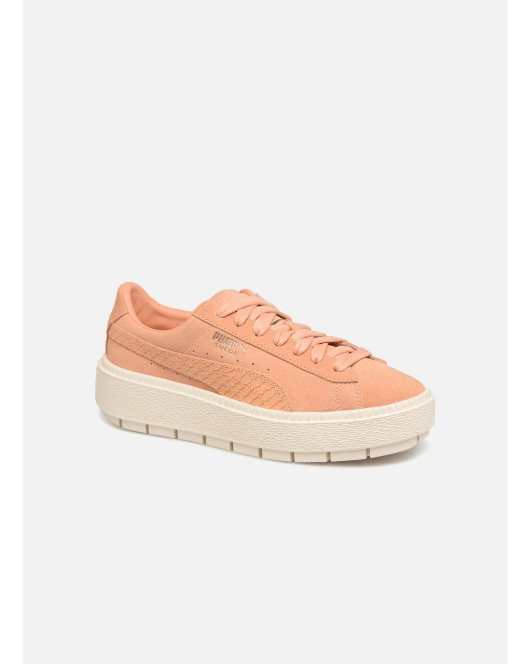 puma plateforme trace animal