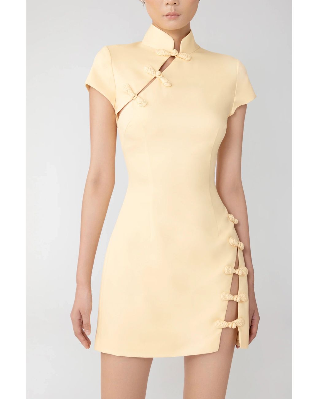 SAU LEE Natural Iris Mini Dress