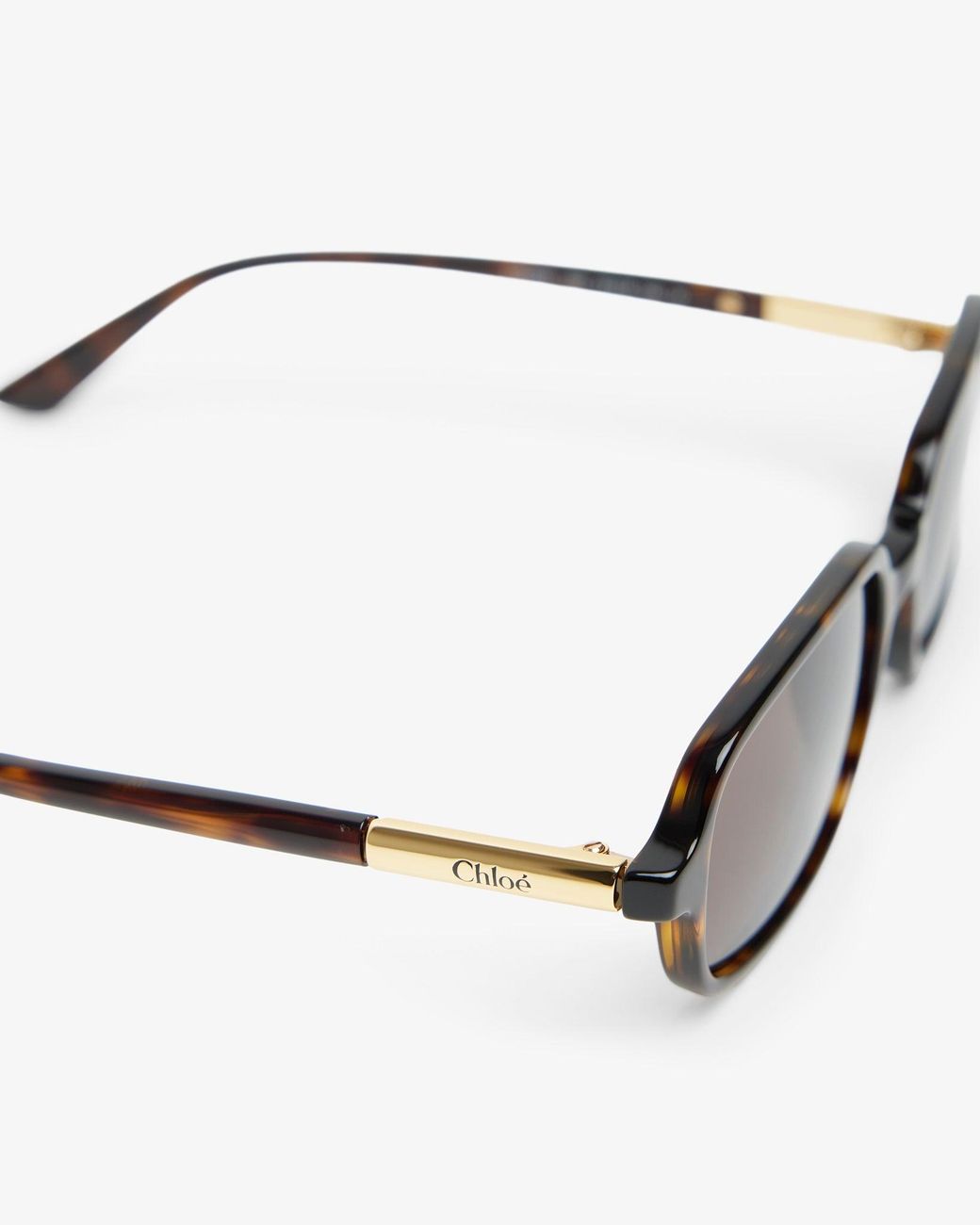 Chloé Multicolor Judy Havana Brown Sunglasses