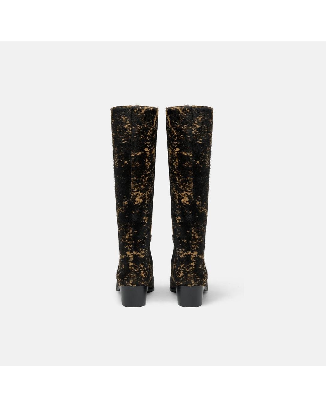 Scarosso Black Ambrosia Pony