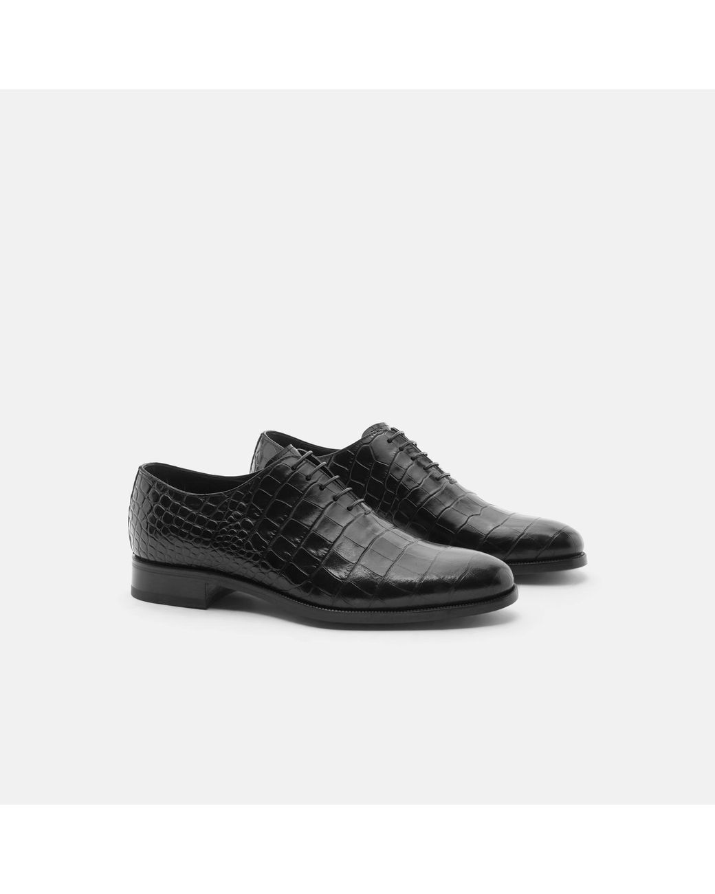 Scarosso Black Ignazio Nero Cocco Oxfords for men